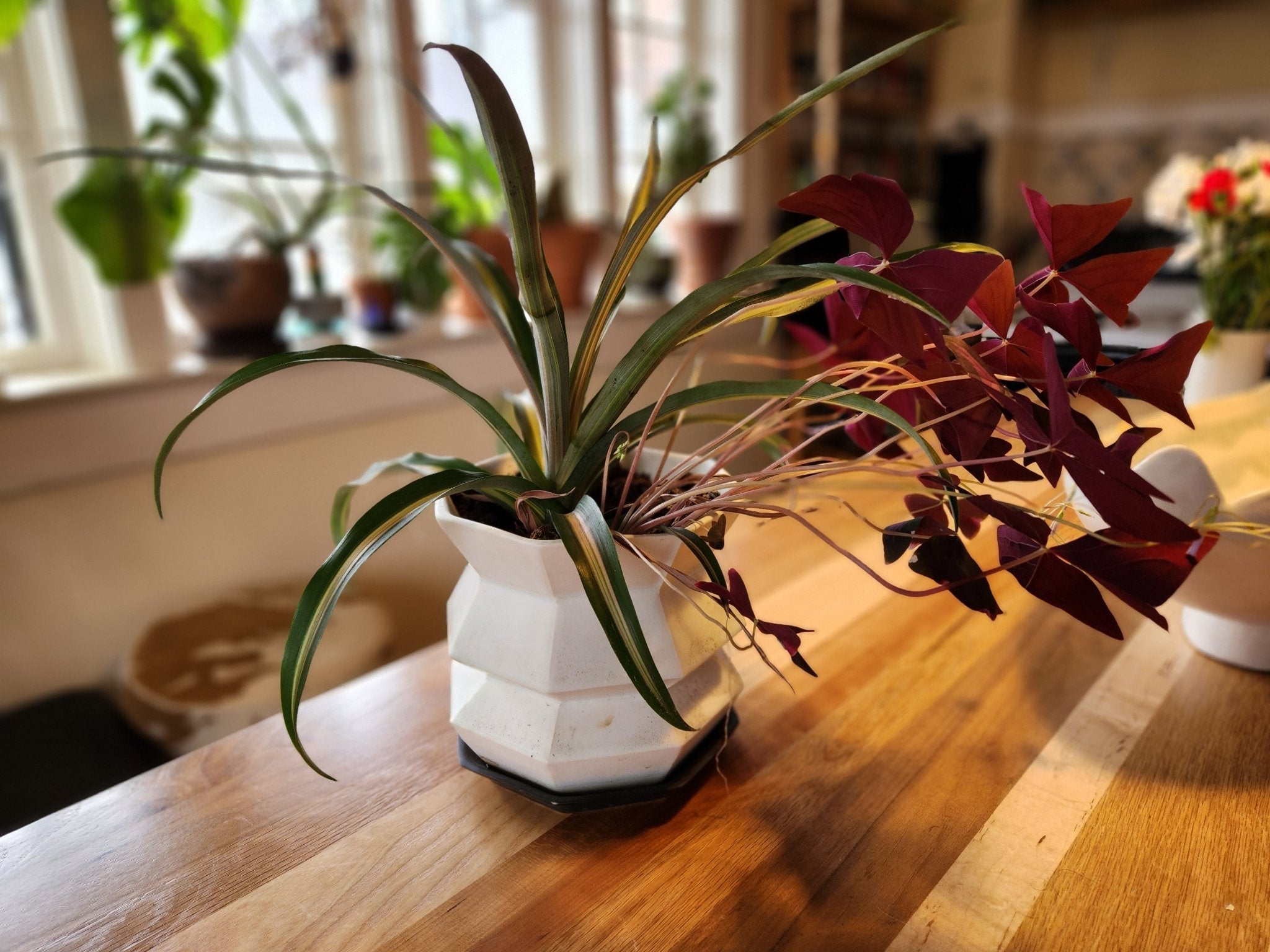 How Porcelain Ceramics Greet You When You Get Home From Work - Ember Collective