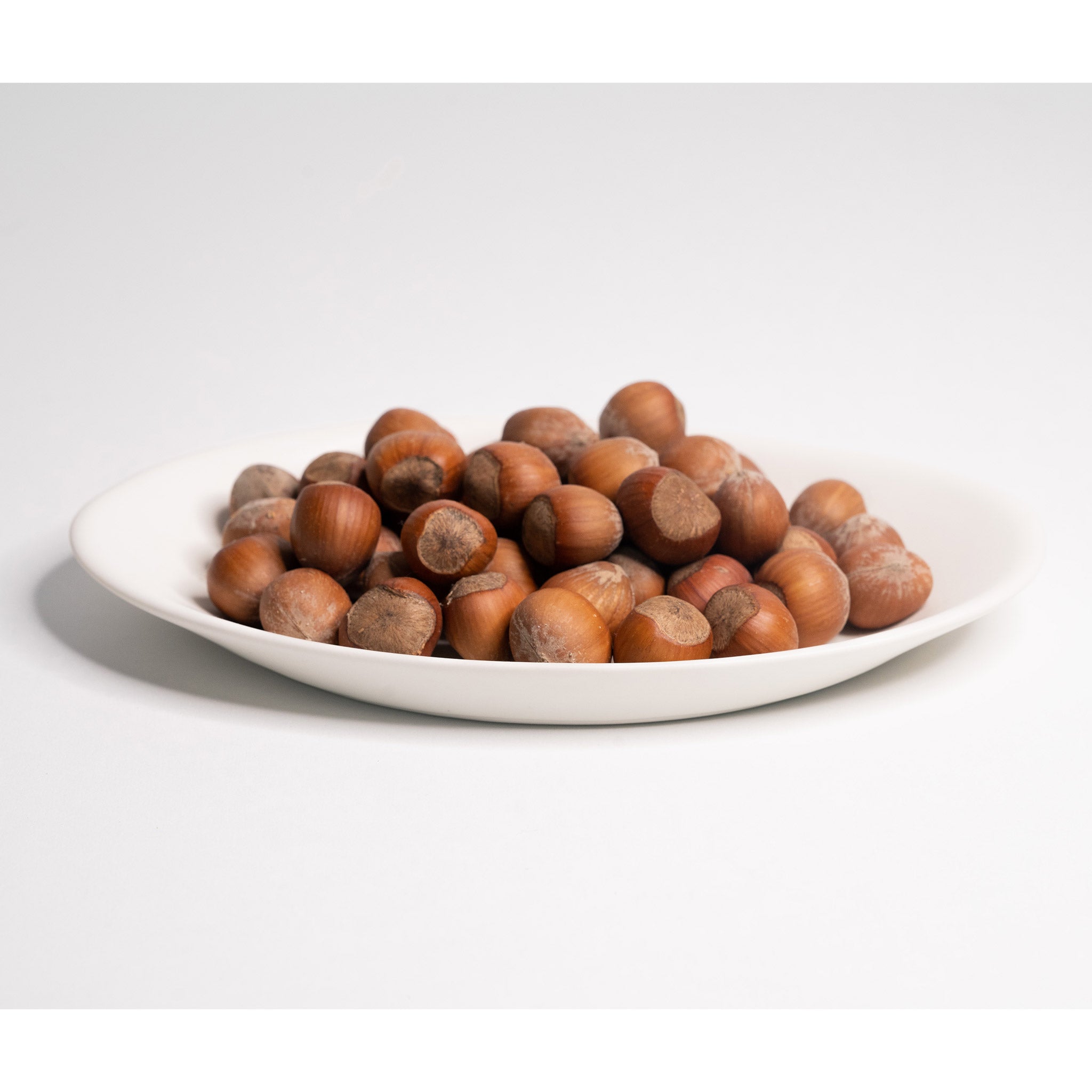 Catchall Porcelain Tray Silk White Ember Collective
