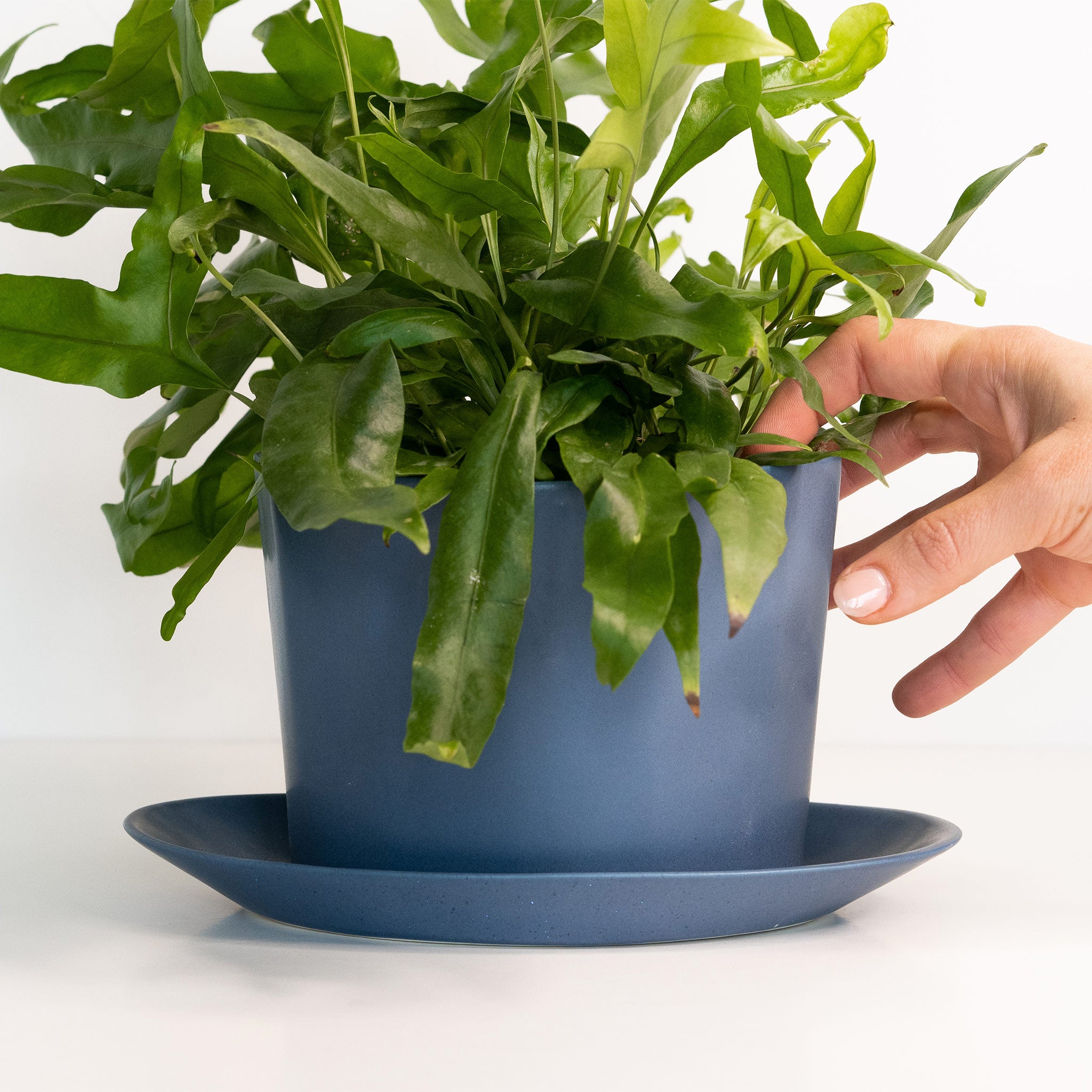 Native Oval Planter - Handmade Porcelain Planter Pisgah Blue Ember Collective