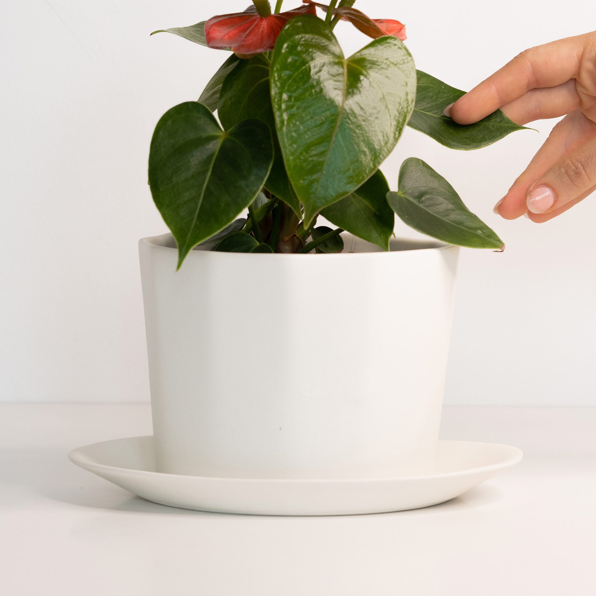 Native Oval Planter - Handmade Porcelain Planter Silk White Ember Collective