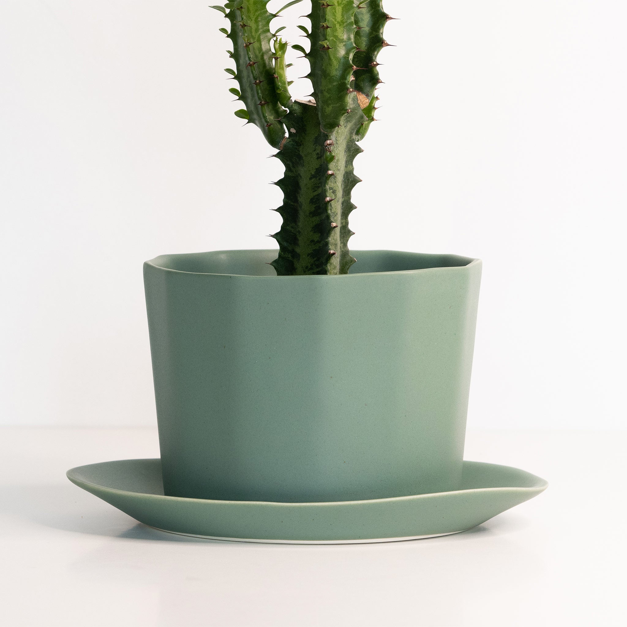 Native Oval Planter - Handmade Porcelain Planter Silk White Ember Collective