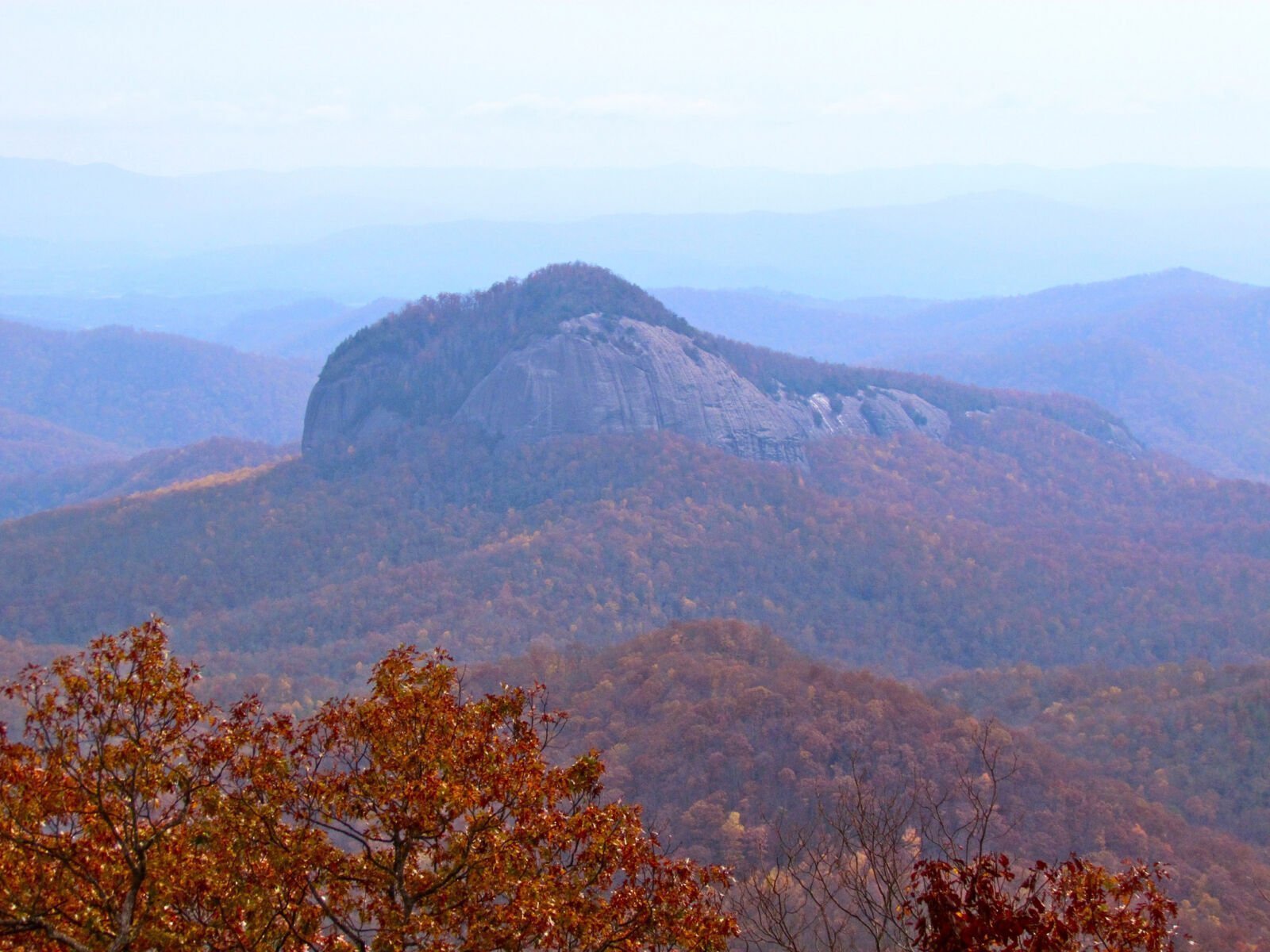 Hit the Trails this Earth Month: Discover the Natural Beauty of Asheville - Ember Collective