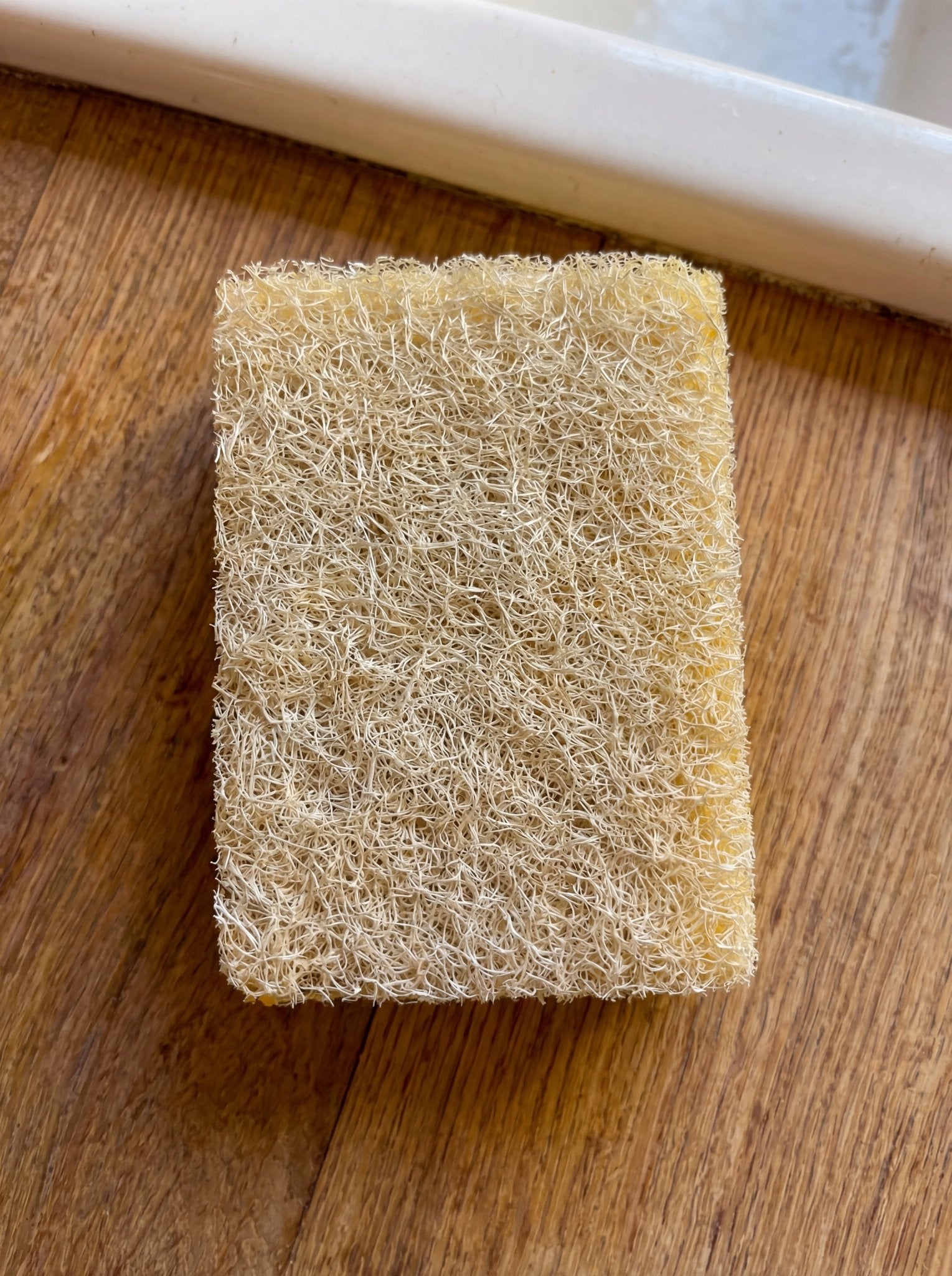 Natural Sisal & Cellulose Kitchen Sponge Ember Collective