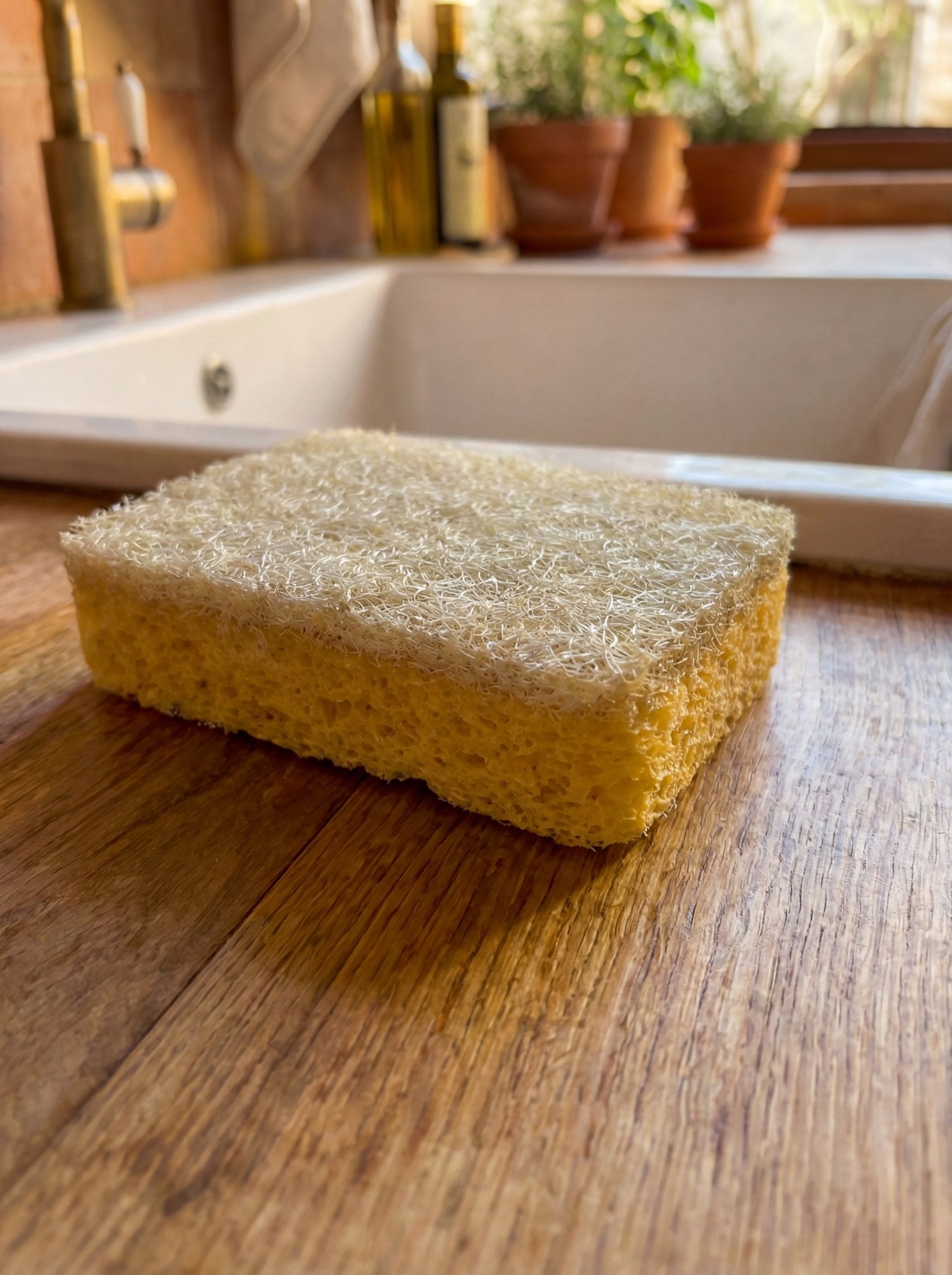Natural Sisal & Cellulose Kitchen Sponge Ember Collective
