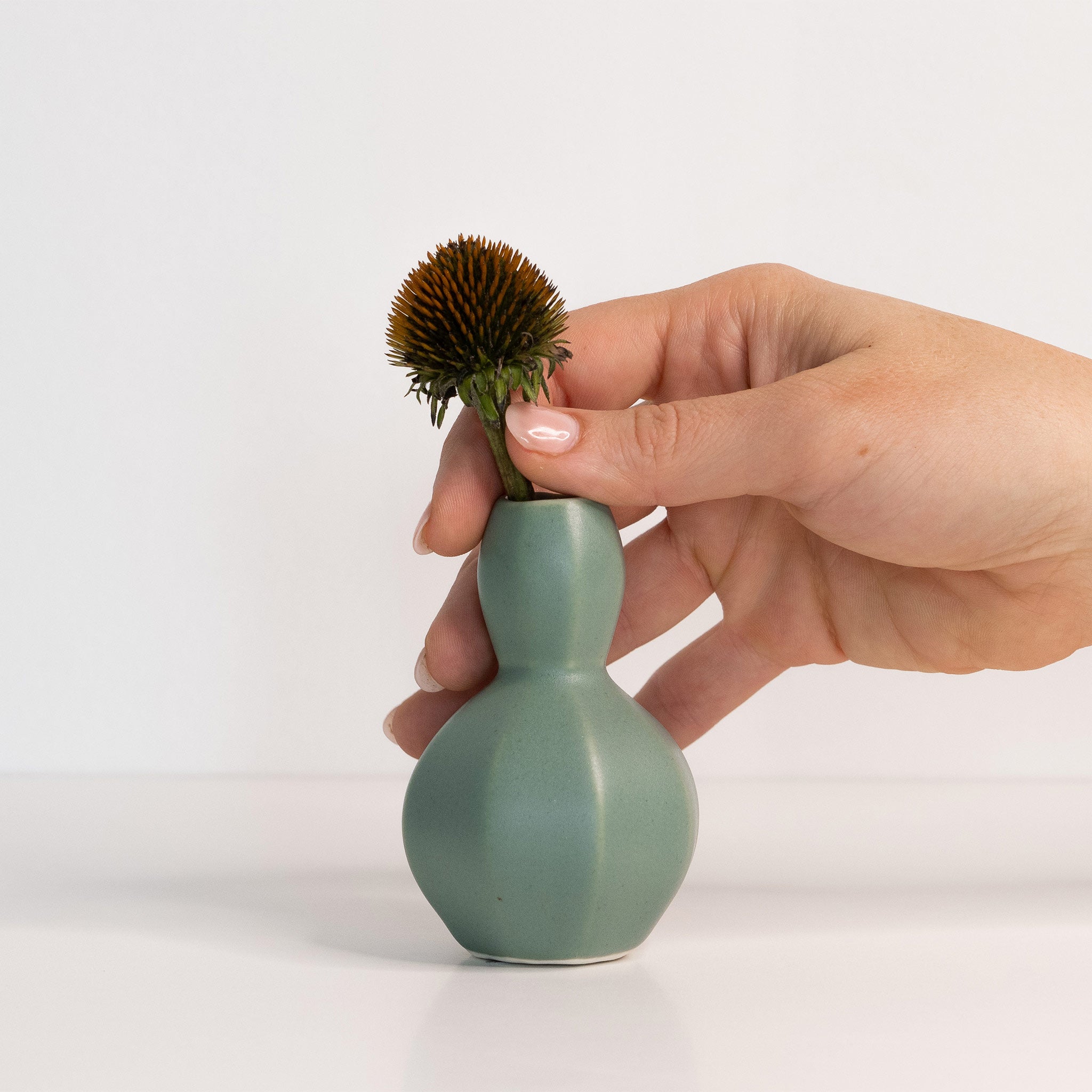 Porcelain Sprout Bud Vase Rosemary Green The Bright Angle