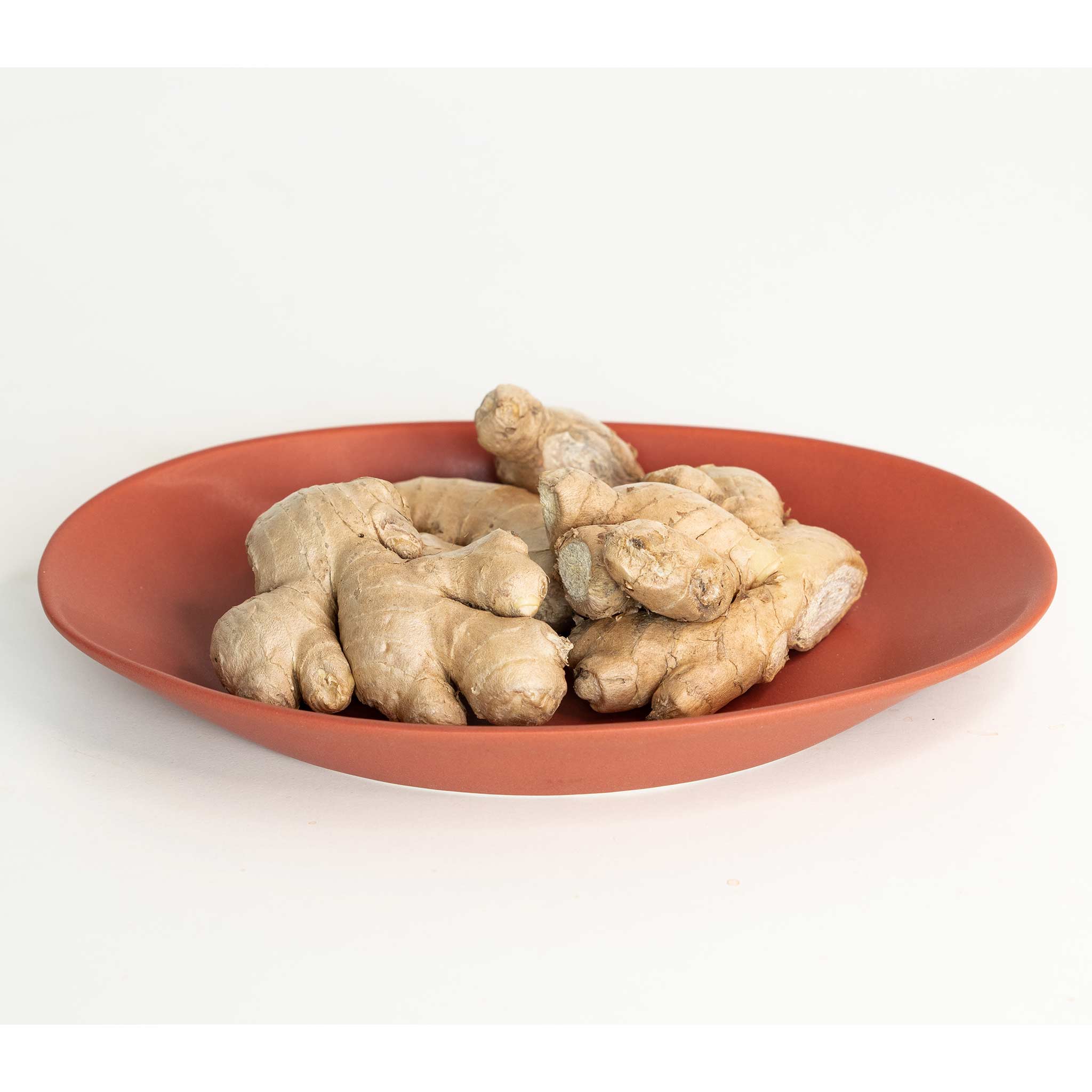 Catchall Porcelain Tray Terracotta Red Ember Collective